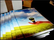RoEnergy 2011 Foto 1